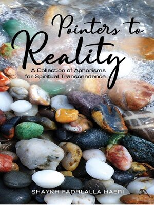 cover image of Pointers to Reality